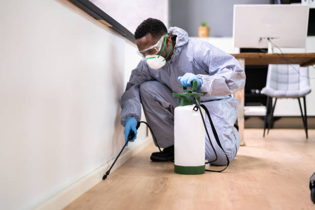 Real Estate Pest Inspections in Kaufman, TX